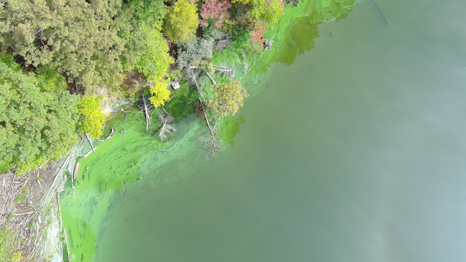 Wallkill river scene